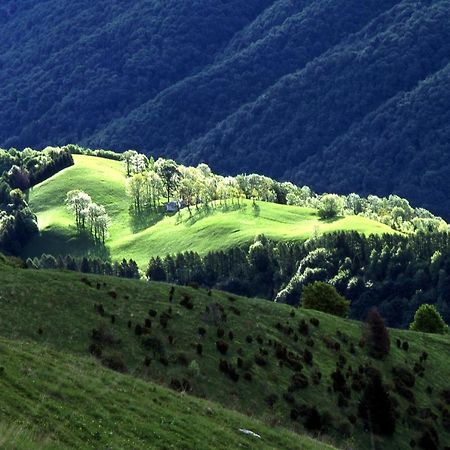 B&B Casa Francesca Alano Di Piave Εξωτερικό φωτογραφία